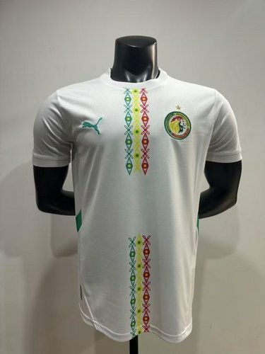 25-26 Senegal Home Player Version Soccer Jerseys