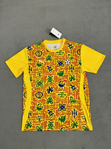 25-26 Ghana Training Soccer Jerseys