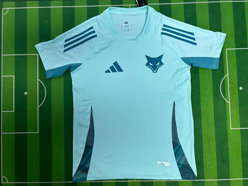 25-26 Cruzeiro Cheap Soccer Jerseys