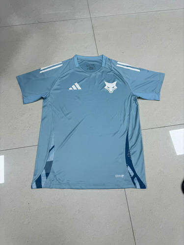 25-26 Cruzeiro Training Soccer Jerseys 