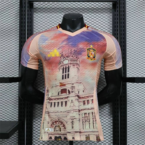 2010 Spain Special Player Version Soccer Jerseys 