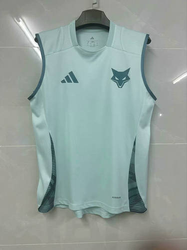 25-26 Cruzeiro Training Soccer Vest