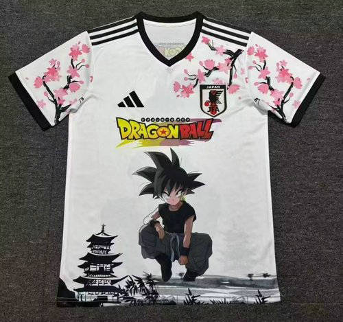 25-26 Japan Cheap Soccer Jerseys 