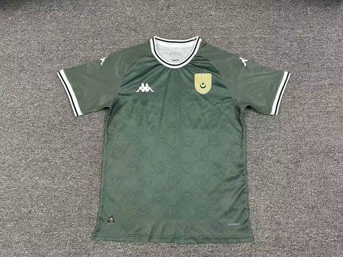25-26 Tunisia Special Cheap Soccer Jerseys