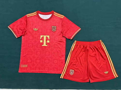 25-26 Bayern 125th Anniversary Cheap Soccer Jerseys 