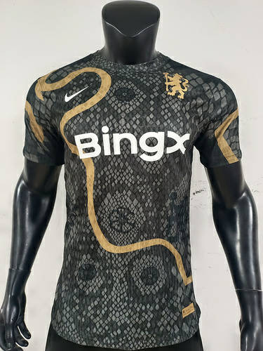 25-26 Chelsea Special Player Version Cheap Soccer Jerseys