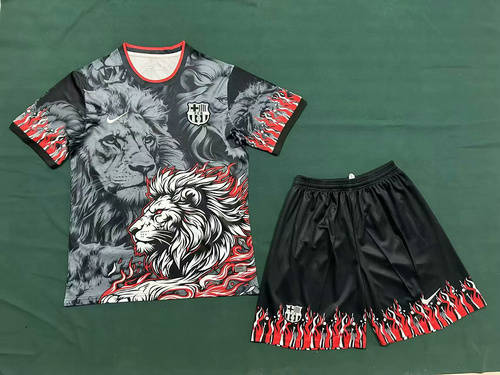 25-26 Barcelona Special Cheap Soccer Jerseys