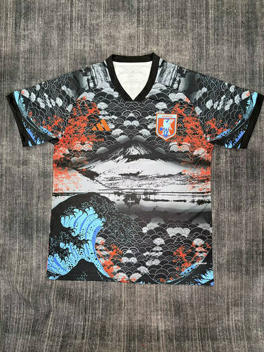 25-26 Japan Cheap Soccer Jerseys 