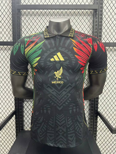 25-26 Mexico Player Version Cheap Soccer Jerseys 