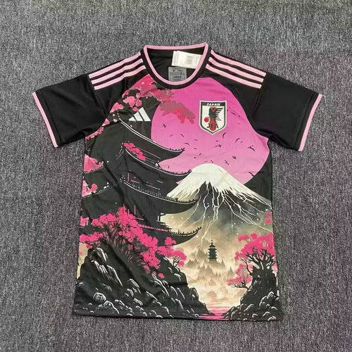 25-26 Japan Cheap Soccer Jerseys 