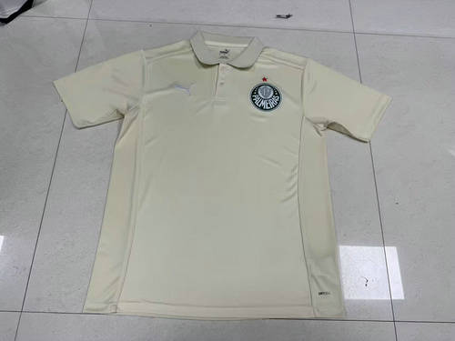 25-26 Palmeiras Training Cheap Soccer Jerseys