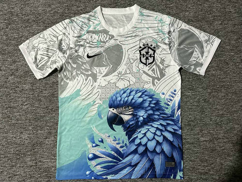25-26 Brazil Cheap Soccer Jerseys