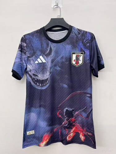 25-26 Japan Cheap Soccer Jerseys 