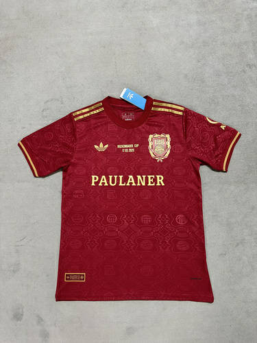 25-26 Bayern 125th Anniversary Cheap Soccer Jerseys 