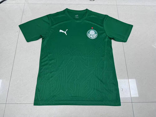 25-26 Palmeiras Training Cheap Soccer Jerseys