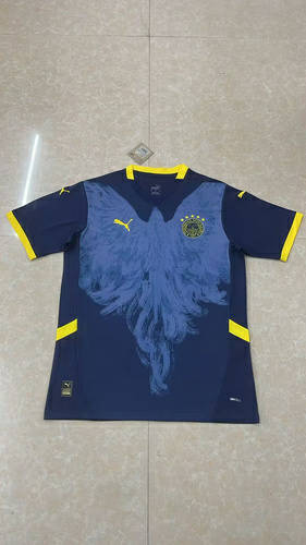 25-26 Fenerbahce Special Cheap Soccer Jerseys