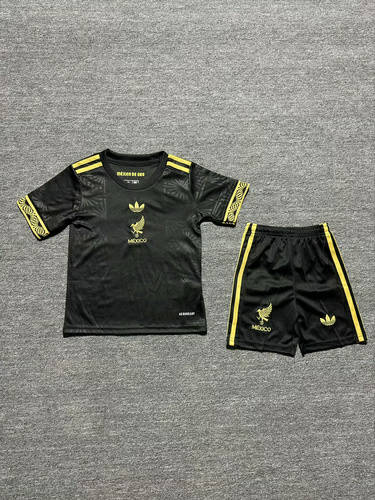 25-26 Mexico Kids Cheap Soccer Jerseys