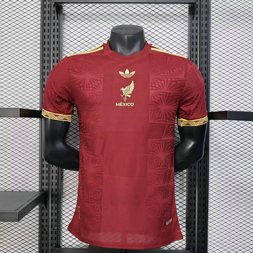 25-26 Mexico Player Version Cheap Soccer Jerseys 