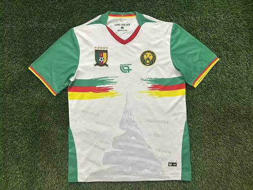 25-26 Cameroon Third Cheap Soccer Jerseys 