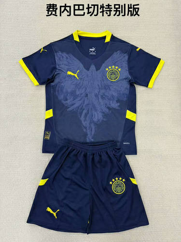 25-26 Fenerbahce Special Kids Cheap Soccer Jerseys