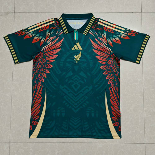 25-26 Mexico Polo Cheap Soccer Jerseys