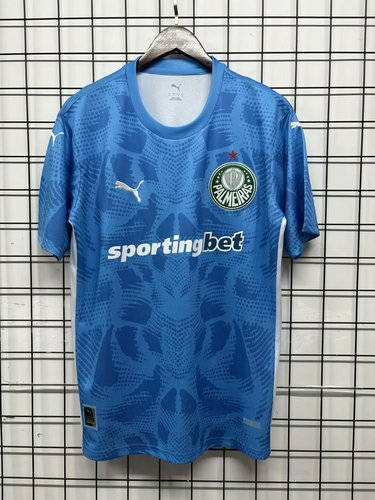 25-26 Palmeiras Training Cheap Soccer Jerseys