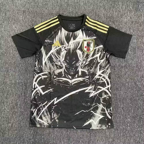 25-26 Japan Cheap Soccer Jerseys 