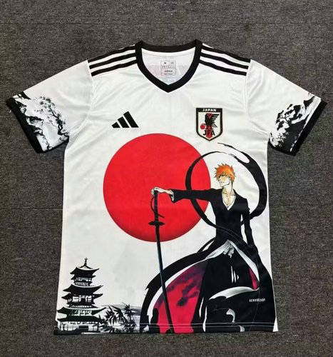25-26 Japan Cheap Soccer Jerseys 