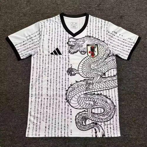 25-26 Japan Cheap Soccer Jerseys 
