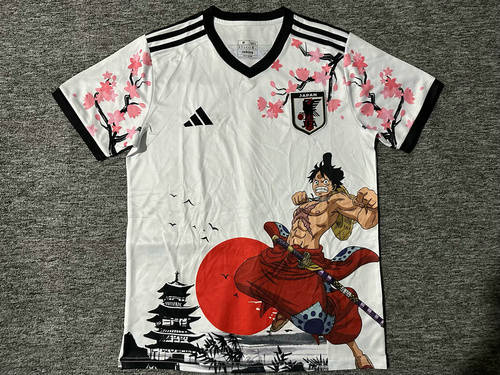 25-26 Japan Cheap Soccer Jerseys 