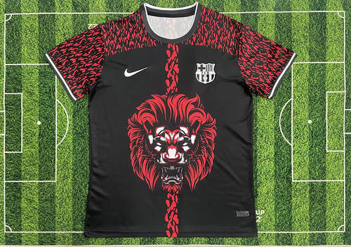 25-26 Barcelona Special Cheap Soccer Jerseys 