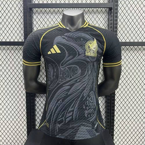 25-26 Mexico Special Player Version Cheap Soccer Jerseys