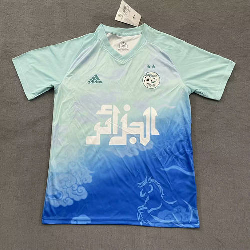 25-26 Algeria Training Cheap Soccer Jerseys 