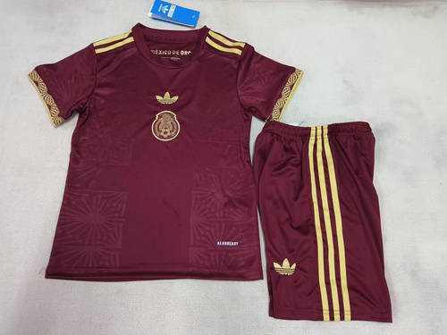 25-26 Mexico Kids Cheap Soccer Jerseys