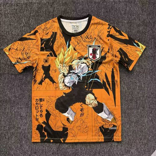 25-26 Japan Cheap Soccer Jerseys