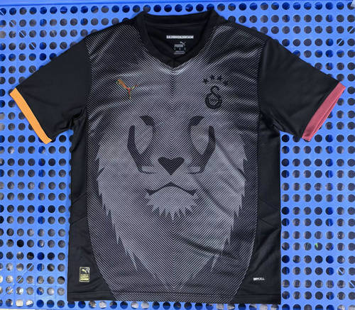 25-26 Galatasaray Special Cheap Soccer Jerseys