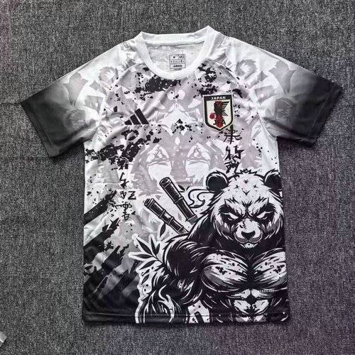 25-26 Japan Cheap Soccer Jerseys 