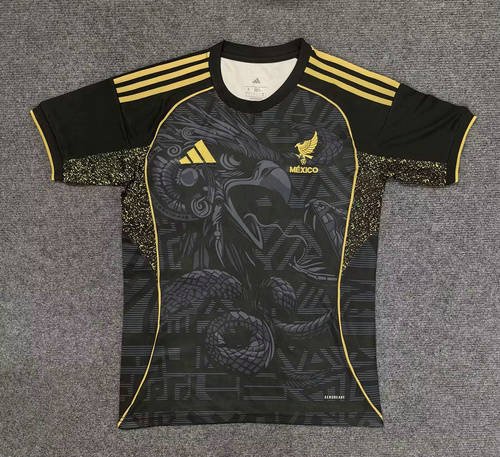 25-26 Mexico Special Cheap Soccer Jerseys