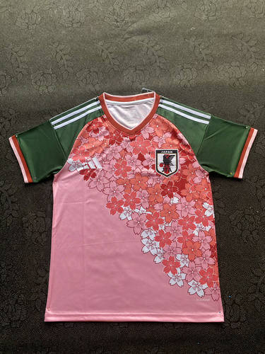 25-26 Japan Special Cheap Soccer Jerseys 