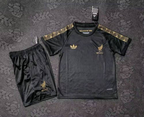 2025 Mexico Kids Cheap Soccer Jerseys 