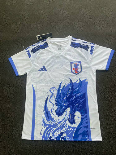 25-26 Japan Special Cheap Soccer Jerseys 