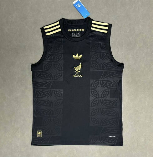25-26 Mexico Training Soccer Vest 