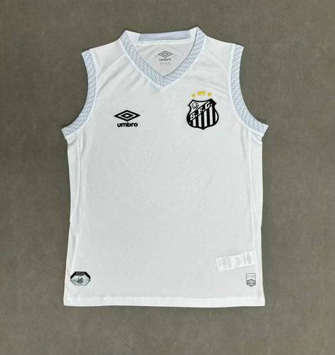 25-26 Santos Home Training Soccer Vest 