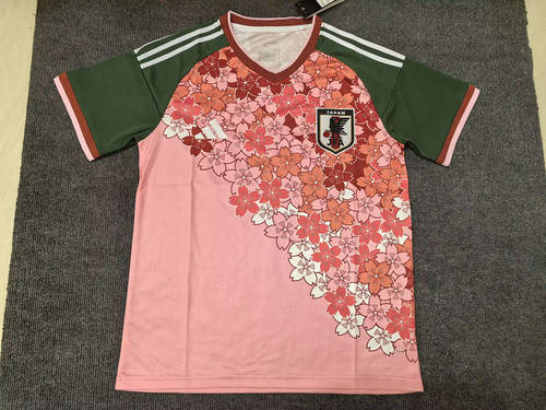 2025 Japan Special Cheap Soccer Jerseys