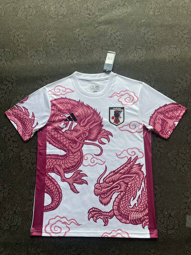 25-26 Japan Special Cheap Soccer Jerseys 