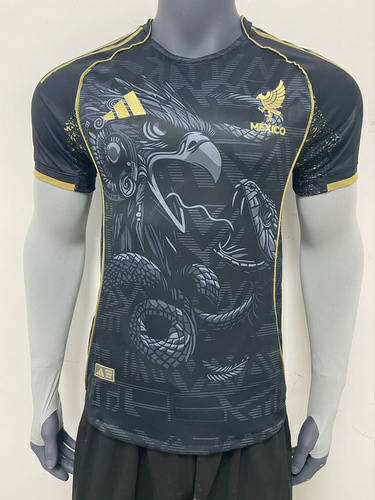 25-26 Mexico Special Player Version Cheap Soccer Jerseys