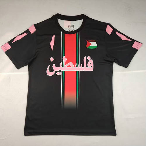 25-26 Palestine Cheap Soccer Jerseys 