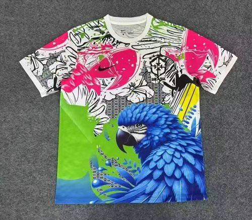 25-26 Brazil Special Cheap Soccer Jerseys