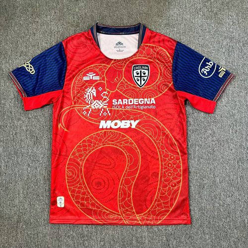 25-26 Cagliari Special Cheap Soccer Jerseys 