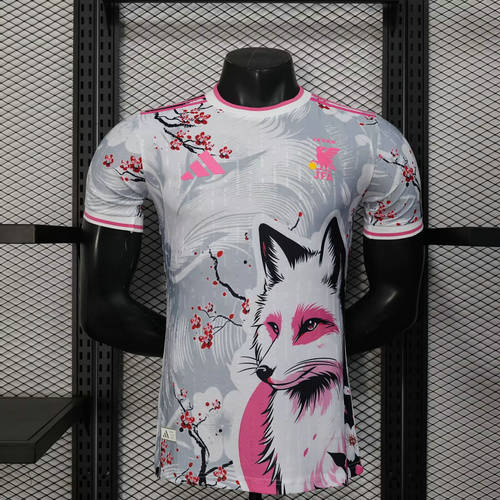 25-26 Japan Player Version Cheap Soccer Jerseys